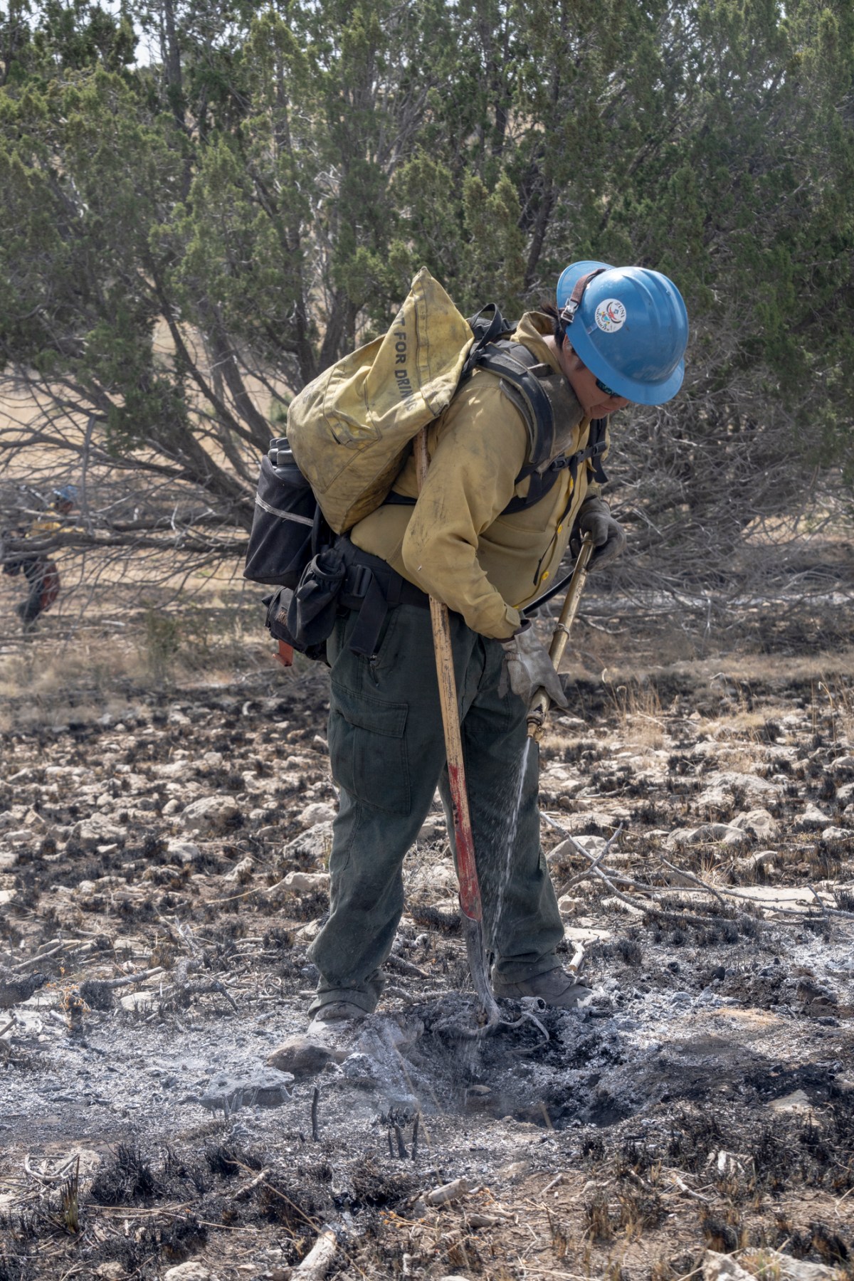 Wildfire season kicks off in New Mexico