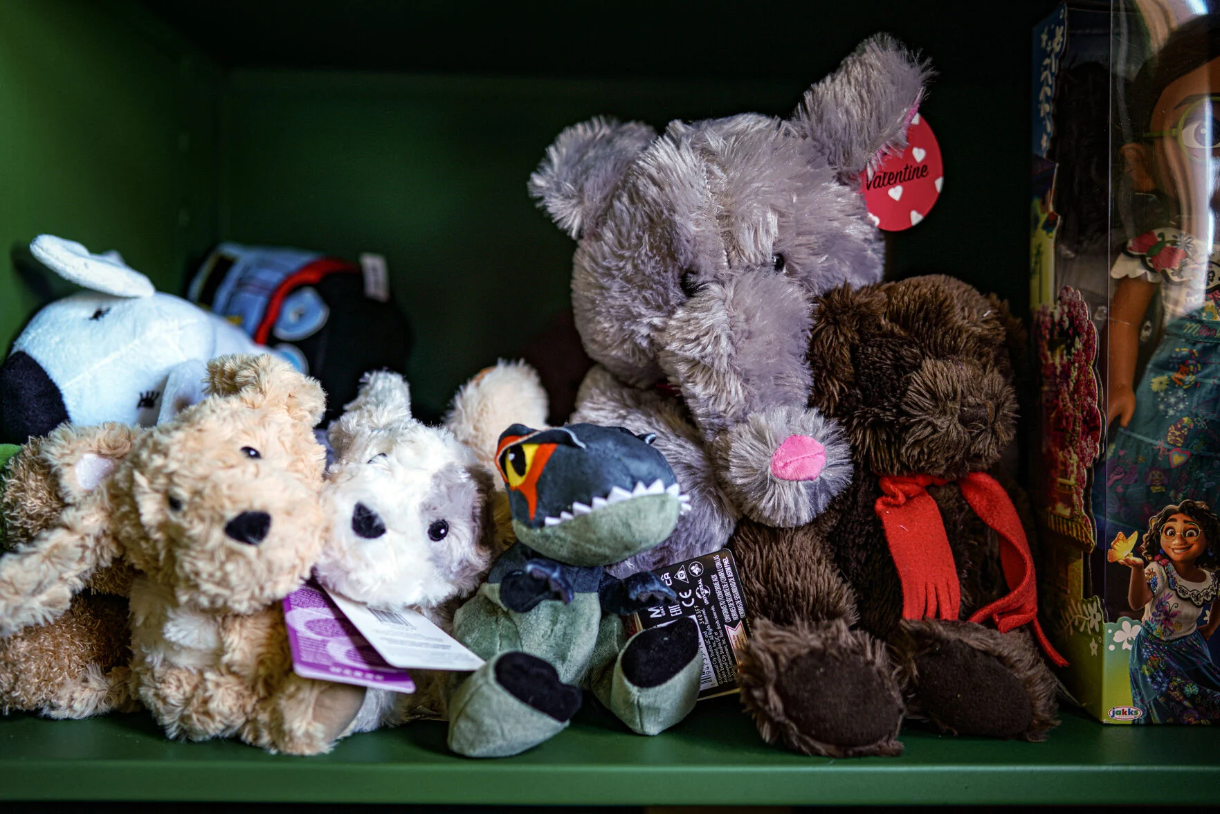 New Mexico providers struggle to secure state funding for sex assault, DV services