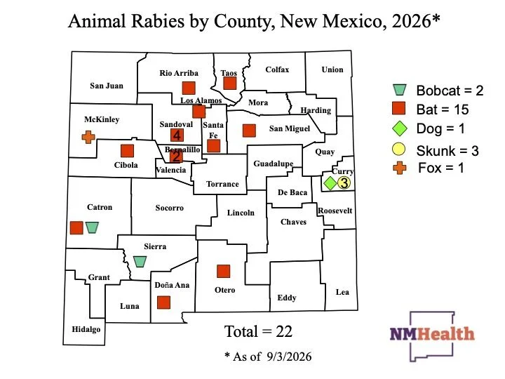 More animals testing positive for rabies in New Mexico — but the reason is a mystery