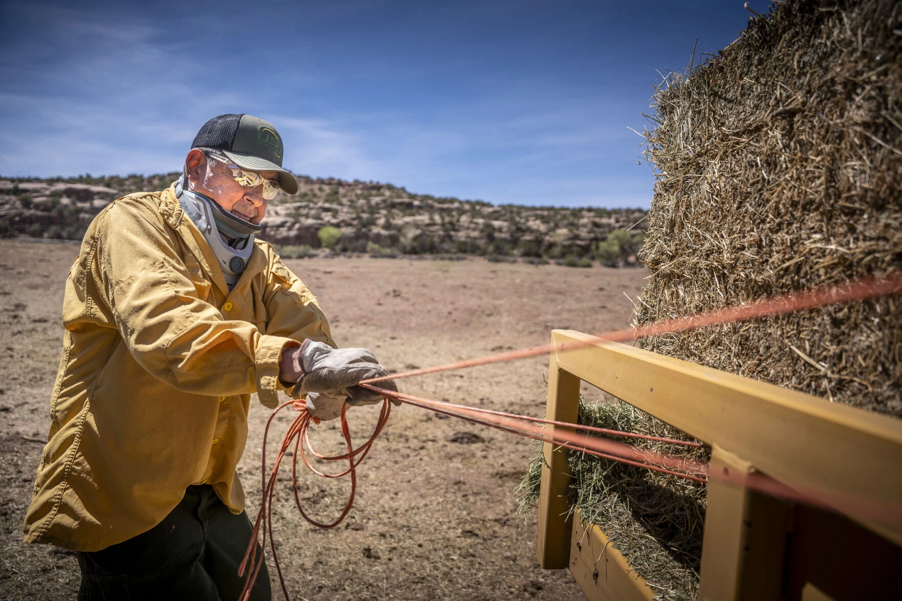 Two new cases of New World screwworm identified in New Mexico