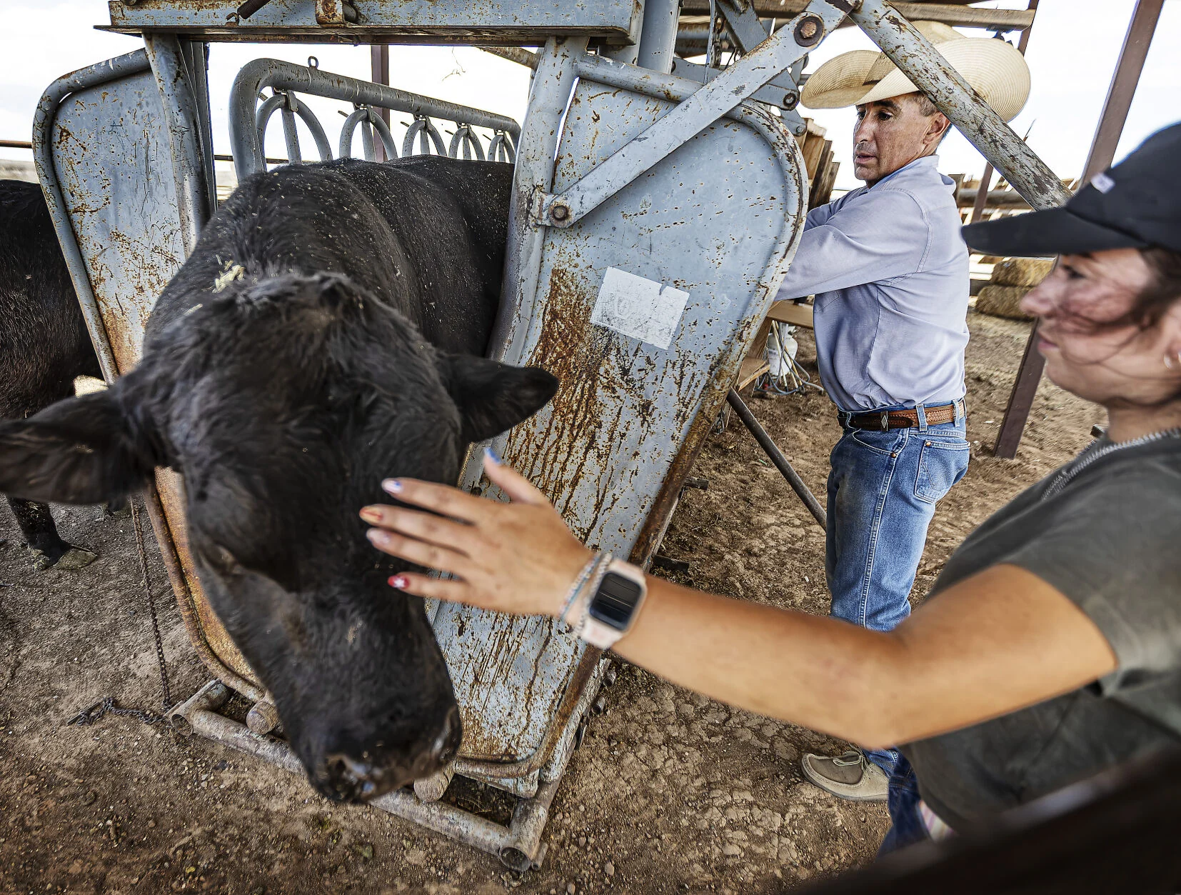 Las Cruces added to ‘infested zone’ as New World screwworm spreads